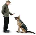Dog Training Prices