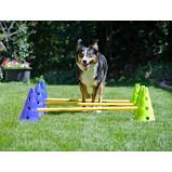 Dog Agility Training