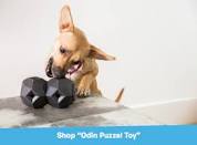 Dog Toys That Stimulate Mind