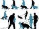 How To Train Dogs