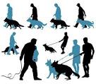 How To Train Dogs