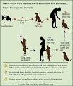How To Train A Dog