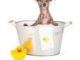 Dog Bath Tub