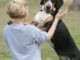 Stop Dog From Jumping On You