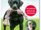 Labrador Retriever Training