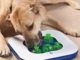 Challenging Dog Toys