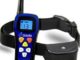 Best Dog Training Collar