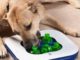 Food Puzzles For Dogs