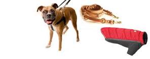 Dog Training Supplies