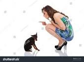 Difference Between Disobedience and Incomprehension With Your Dog