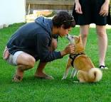 Puppy Kindergarten Classes