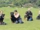 Rottweiler Training Tips