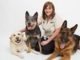 Dog Training Certification