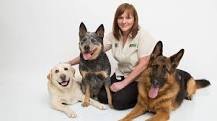 Dog Training Certification