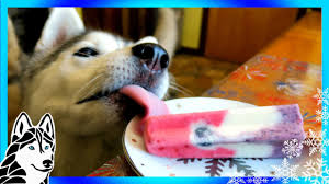 Dog Popsicle's