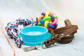 Preparing For A Puppy